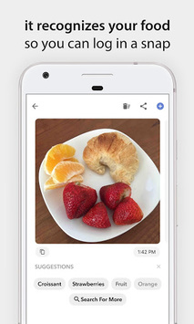 Bitesnap: Photo Food Tracker and Calorie Counter for PC screenshot 2