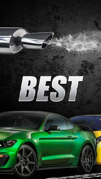 Engines sounds of the legend cars for PC screenshot 1