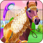 Horse Hair Salon and Mane- Tressage APK Horse Hair Salon and Mane- Tressage APK