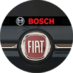 Bosch Fiat Radio Code Decoder for PC