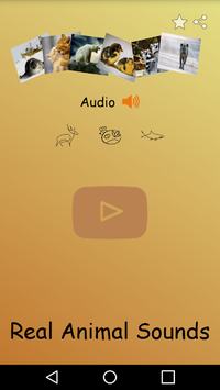 Real Animal Sounds for PC screenshot 1