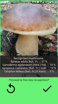 Mushrooms app for PC screenshot 1