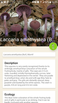 Mushrooms app for PC screenshot 3