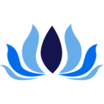 BMS APK