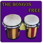 Bongo drum for PC