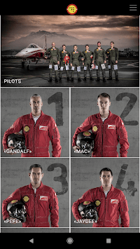 Patrouille Suisse for PC screenshot 3