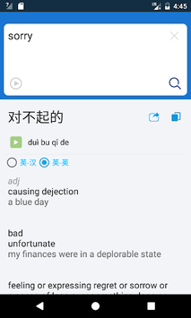 Chinese English Translator for PC screenshot 2