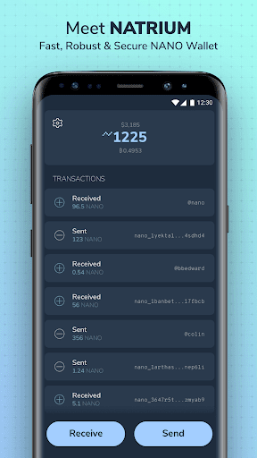 Natrium - NANO Wallet for PC screenshot 1