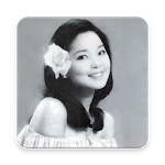 Teresa Music - 鄧麗君 Teresa Teng Music Player APK