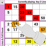 Bingo Tickets 90 for PC