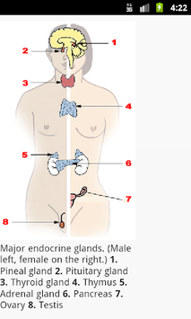 Human Physiology for PC screenshot 3