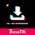 Video Downloader for TikTok - No Watermark SaveTik APK