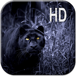Black Panther Live Wallpaper APK