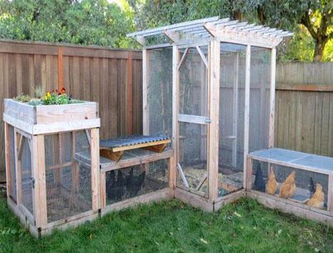 Design Chicken House for PC screenshot 2