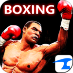 Boxing Night 3D for PC