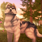 Wolf Tales - Online Wild Animal Sim APK