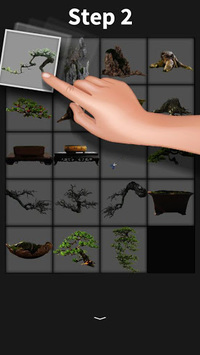 My Bonsai for PC screenshot 2