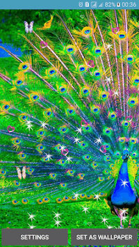 Peacocks Live Wallpapers for PC screenshot 1