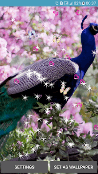 Peacocks Live Wallpapers for PC screenshot 3