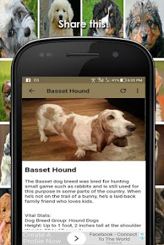 Dog Breed Identifier With Picture for PC screenshot 1
