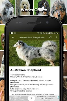 Dog Breed Identifier With Picture for PC screenshot 2