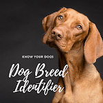 Dog Breed Identifier With Picture APK