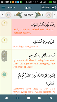 Alim Quran and Hadith Platform for PC screenshot 2