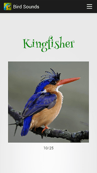 Bird Sounds for PC screenshot 2
