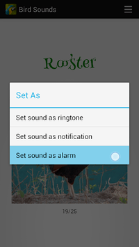 Bird Sounds for PC screenshot 3