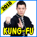 Learn Kung Fu Training for PC