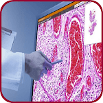 Pathology Atlas (Basic Gross & Microscopic slides) for PC