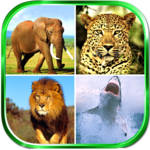 Animals Sounds APK Animals Sounds APK