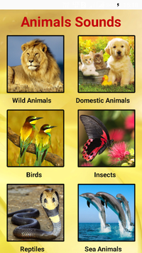 Animals Sounds for PC screenshot 1