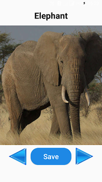 Animals Sounds for PC screenshot 3