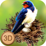 Bird Simulator - Wild Swallow APK