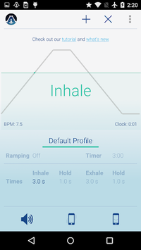 Paced Breathing for PC screenshot 2