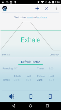 Paced Breathing for PC screenshot 3