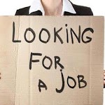 Job Seeker APK