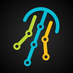 JellyFishP2 for PC
