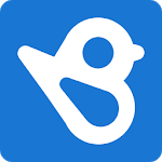 BirdEye APK