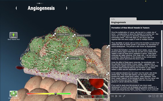 bodyxq cancer for PC screenshot 2