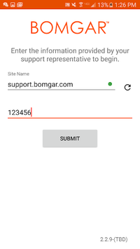 Bomgar Support Client for PC screenshot 1