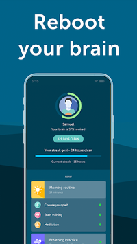 Brainbuddy: Porn & Masturbation Addiction for PC screenshot 2