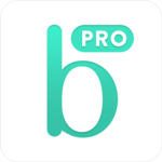 Bridestory Pro (for vendors) APK