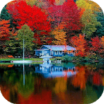Amazing Nature APK