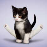 Do the splits in 30 days for PC