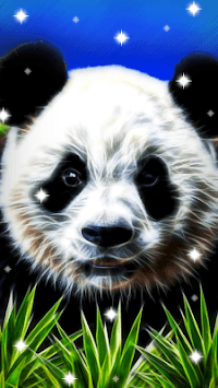 Panda, live wallpaper. for PC screenshot 3