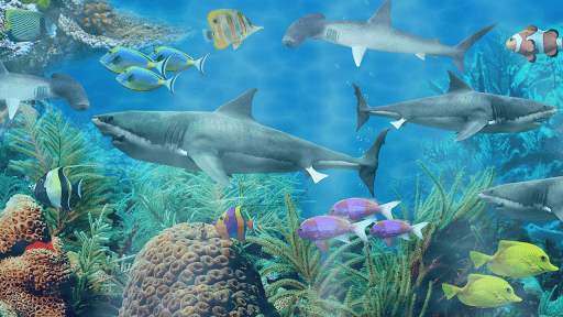 Shark aquarium live wallpaper for PC screenshot 1