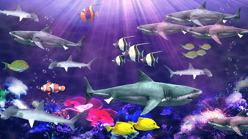 Shark aquarium live wallpaper for PC screenshot 2