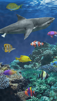 Shark aquarium live wallpaper for PC screenshot 3